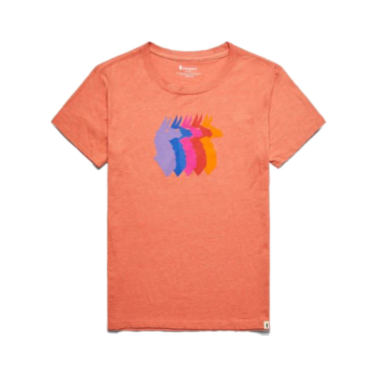 Cotopaxi Llama Sequence Organic T-Shirt - Women's - Image 4
